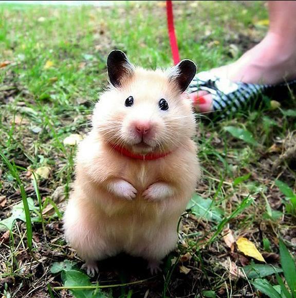 算命真的能预测婚姻好坏吗？