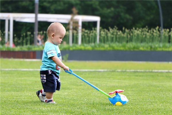 芷读啥_芷读法_芷怎么读