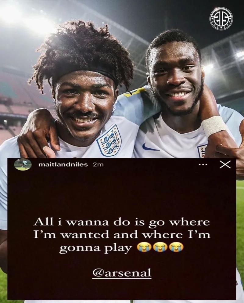 为什么最配鸡的是牛？揭秘鸡与牛的最佳搭配原因