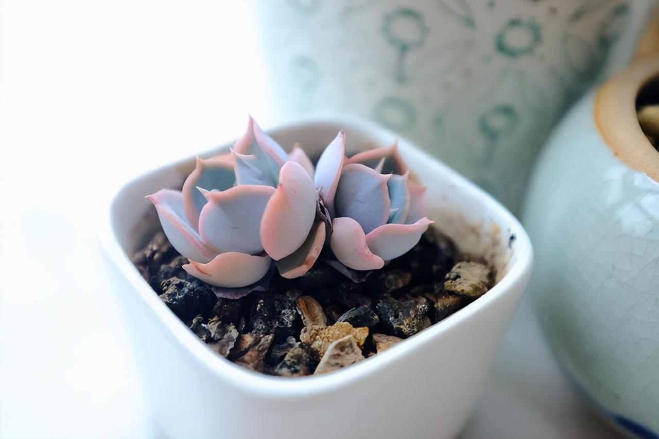 为什么新手总在10到16级突然不会玩游戏了？