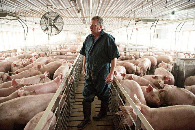 快递被拒收还要倒贴运费？这些坑你踩过吗？