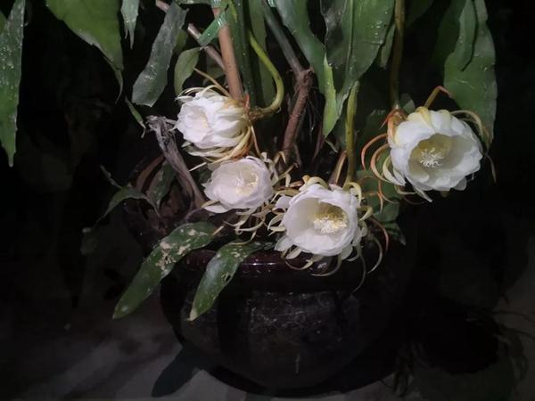 2013年搬家到底该翻哪页黄历？