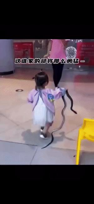 在农村遇到这10种蛇千万别手贱？