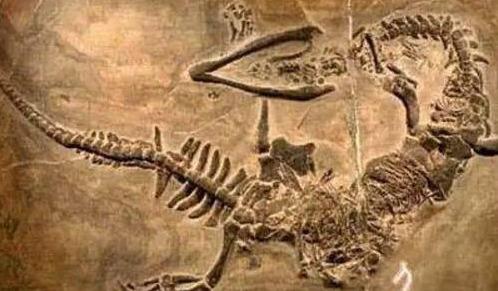 属龙的人真的自带 皇帝命 吗？