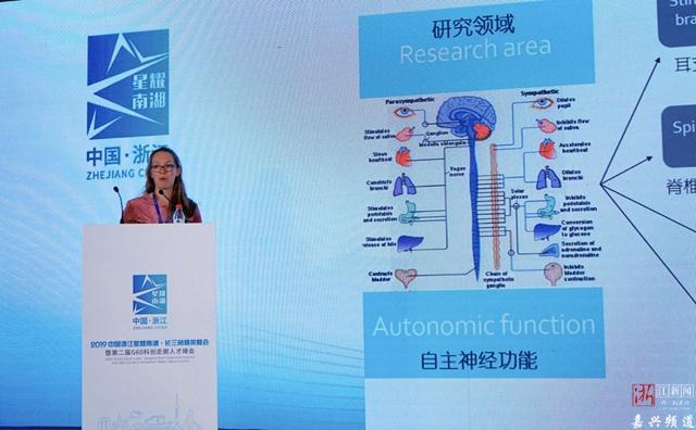 淘宝店铺信誉怎么看？如何快速提升信誉等级？实用技巧分享