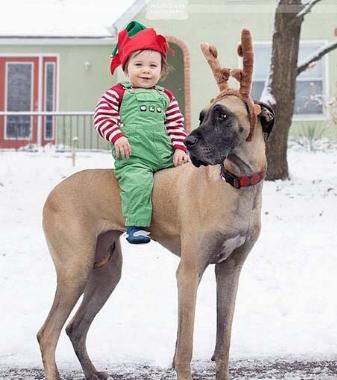 新手如何在易趣网购到靠谱好货？