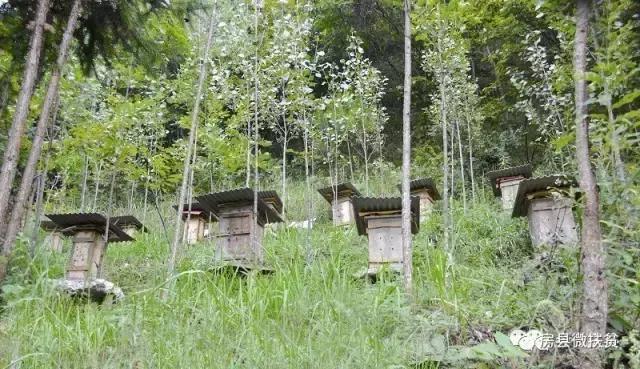 双龙入户三口齐进到底有啥门道？