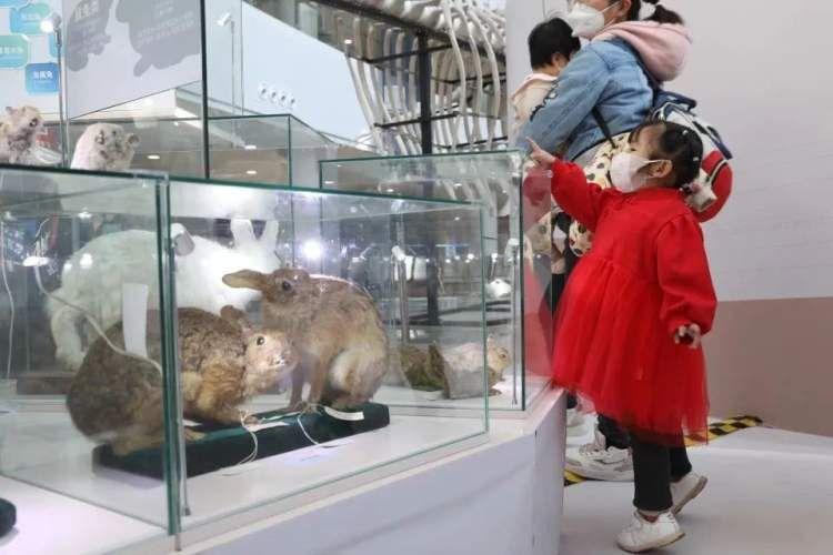 2023年属兔真的百年难遇吗？