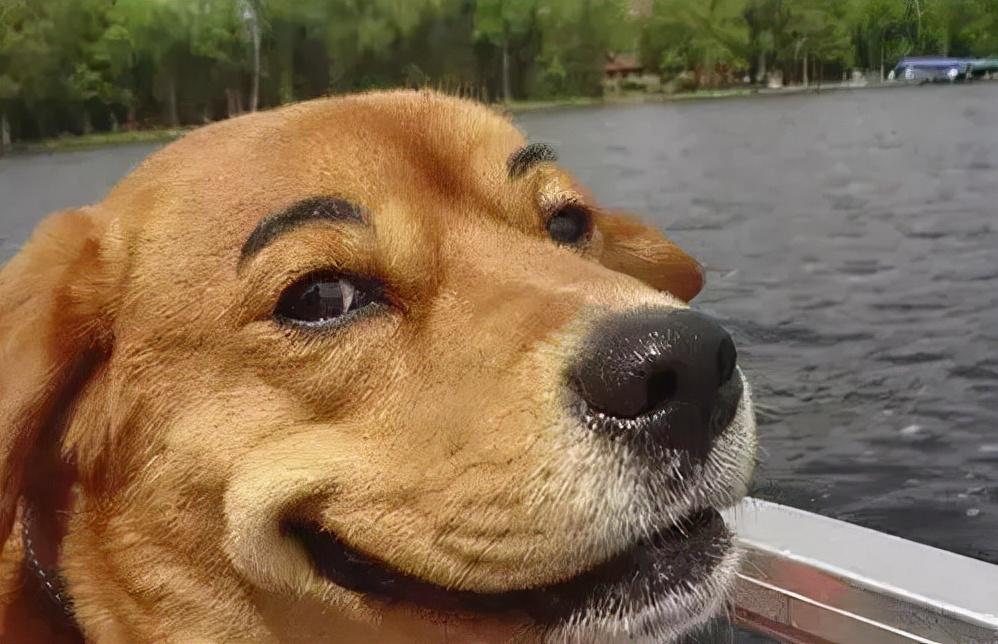 4月24日有哪些必领的游戏福利？