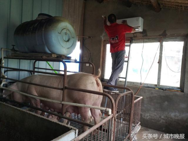 第一次用淘宝怎样才能不花冤枉钱？