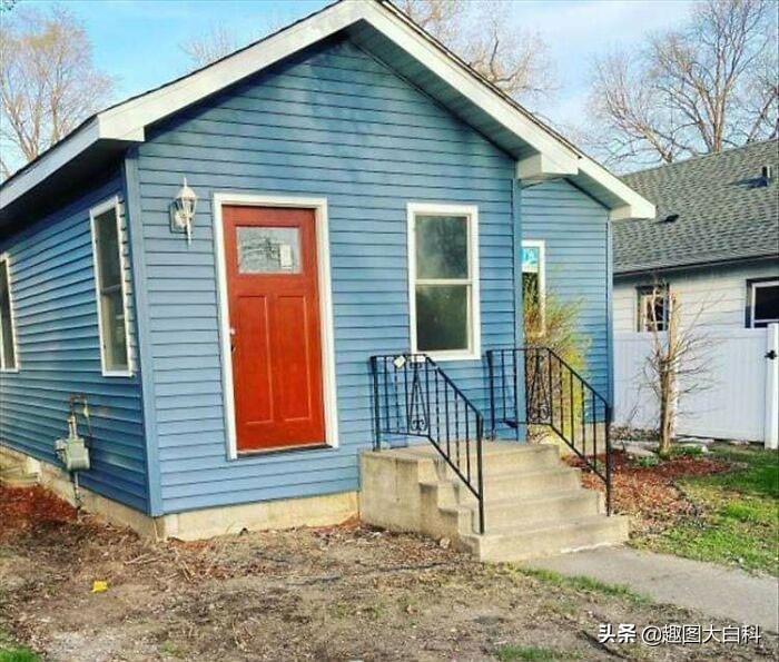 在家养蟑螂能当宠物？这玩意儿真的有人养？