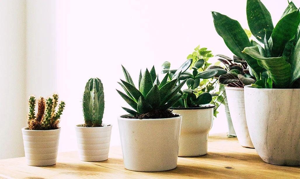 开网店到底要花多少钱？新手必看的避坑指南