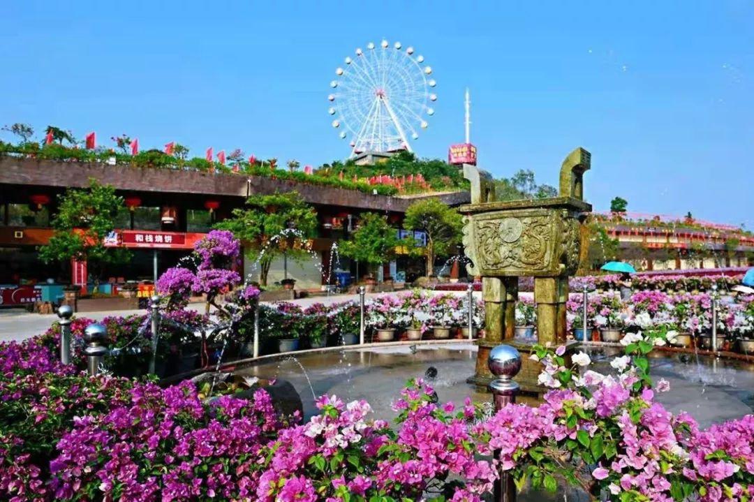 双十一到底有多疯狂？普通人怎么玩才不亏？