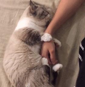 刚接触057188158198一脸懵？这游戏到底怎么玩？