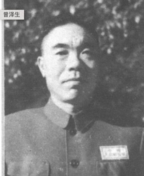 养剑尾鱼真的会让人崩溃吗？