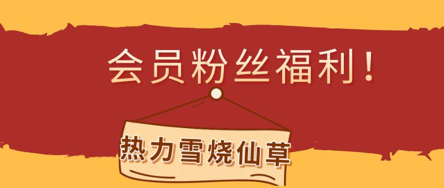 开通淘宝VIP真的能省下一个月奶茶钱吗？