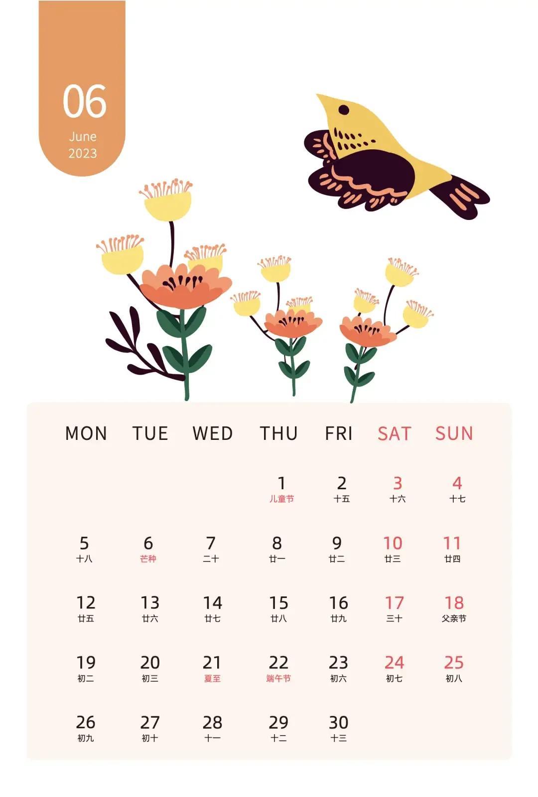 2023年出生的宝宝到底属兔还是属猫？