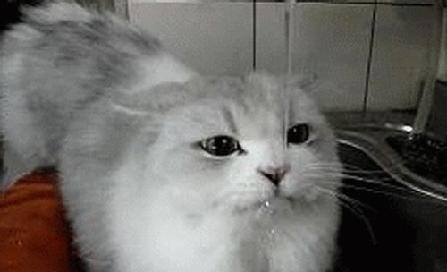 淘宝补点击率真的有效吗？如何正确补点击率提升店铺流量