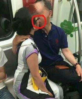 为什么养伯劳鸟的新手总在三天内后悔？