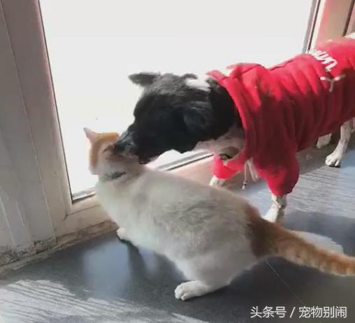 自动回复用不好会赶跑客户？