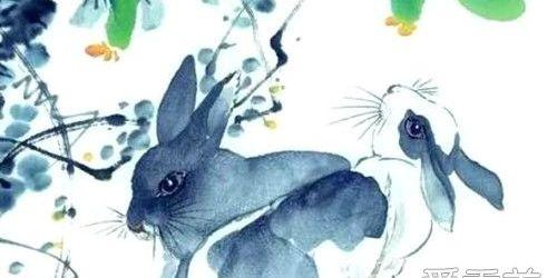 2011年你的生肖运势到底准不准？