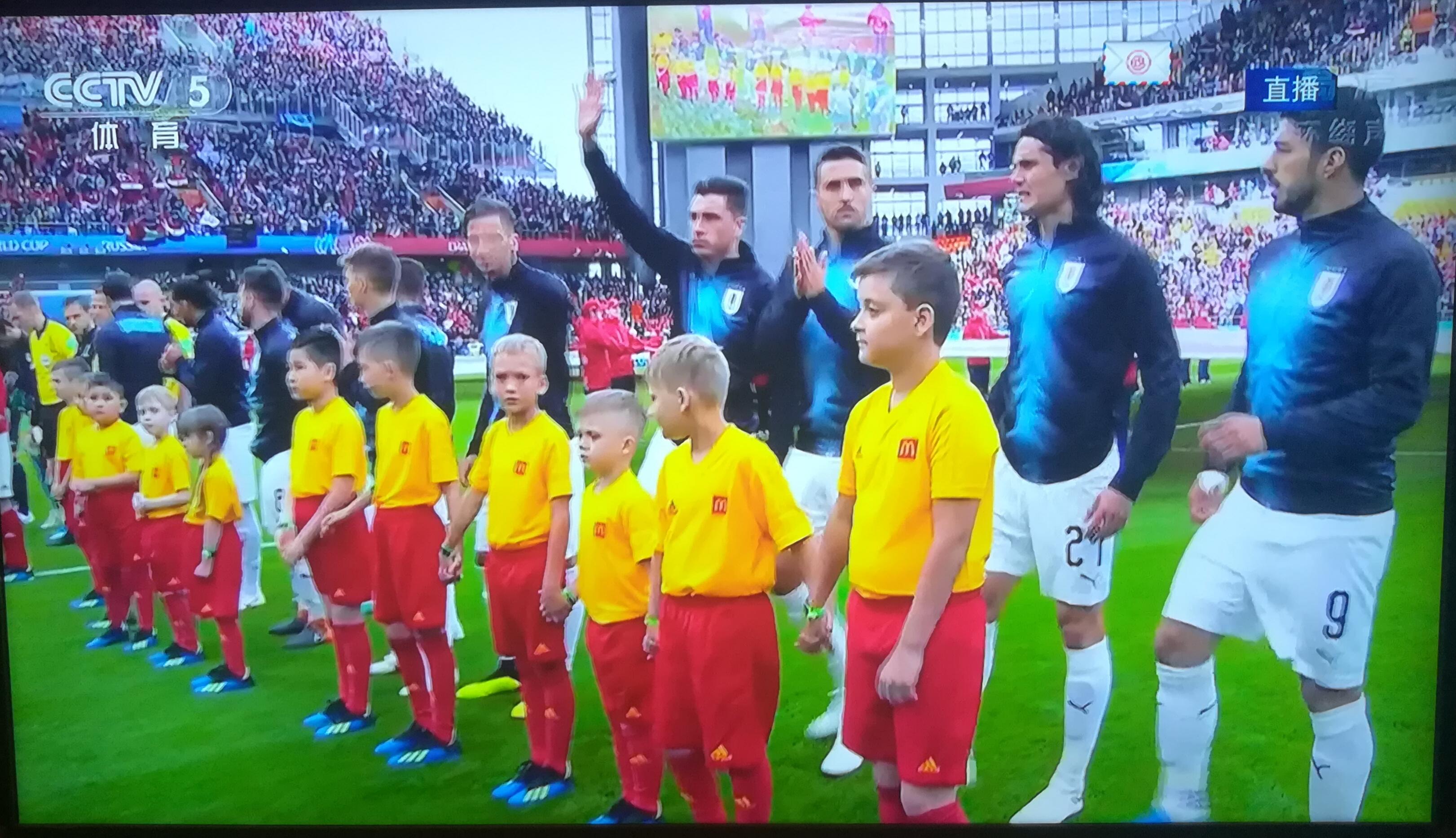 如何让大白熊犬听话？波奇网教你有效训练方法