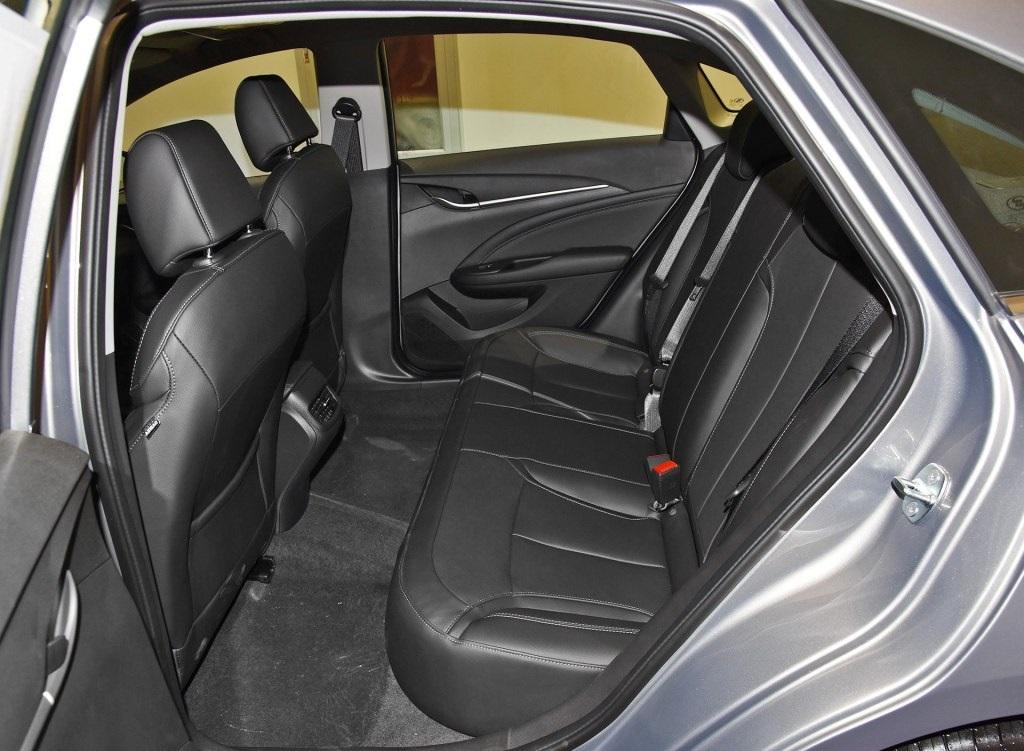 养巴哥犬真的省心吗？新手必看避坑指南