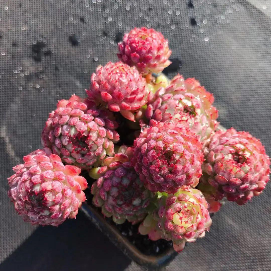 零库存真能开网店赚钱吗？