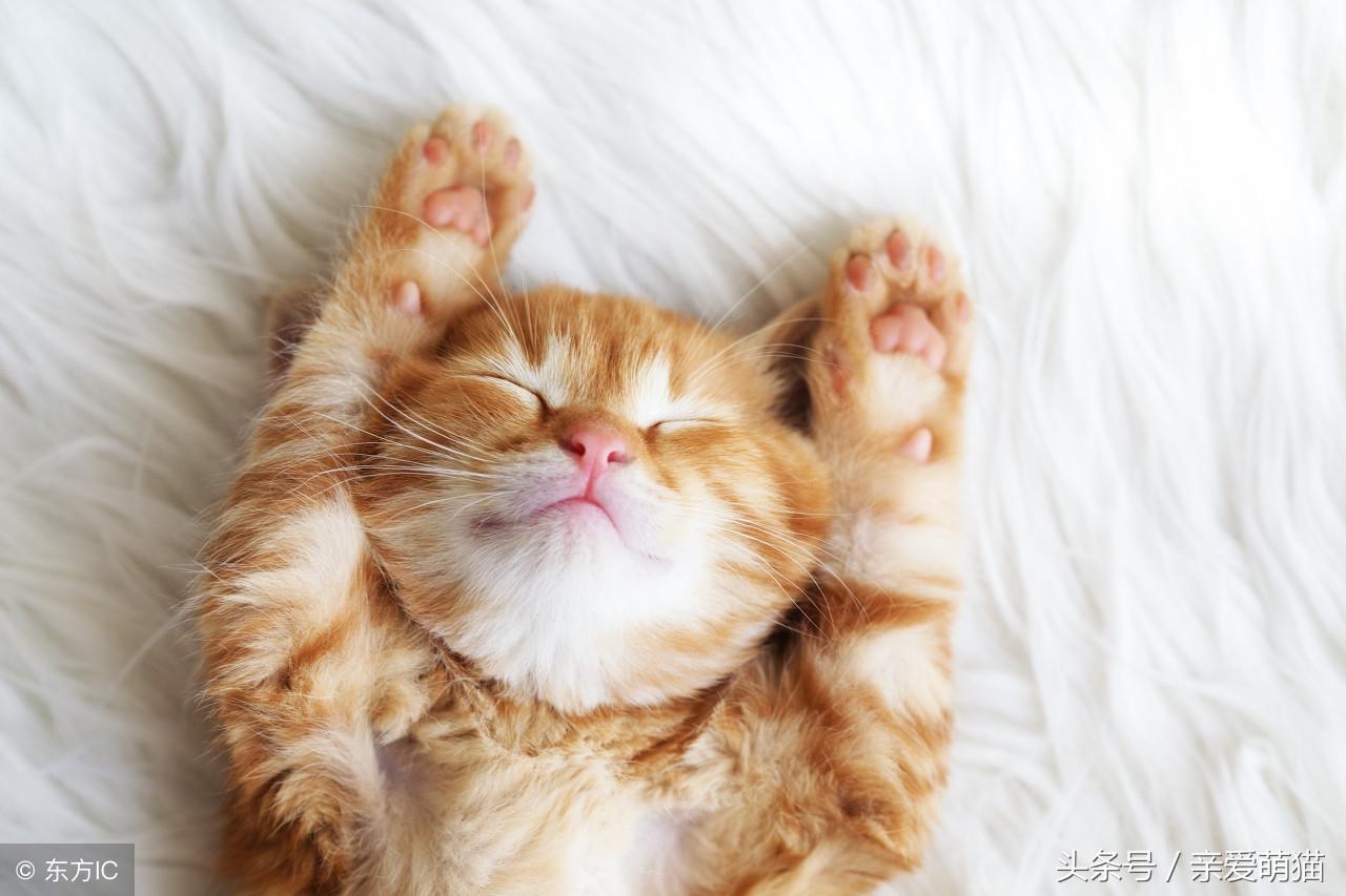 第一次用淘宝天猫怎么买最划算？