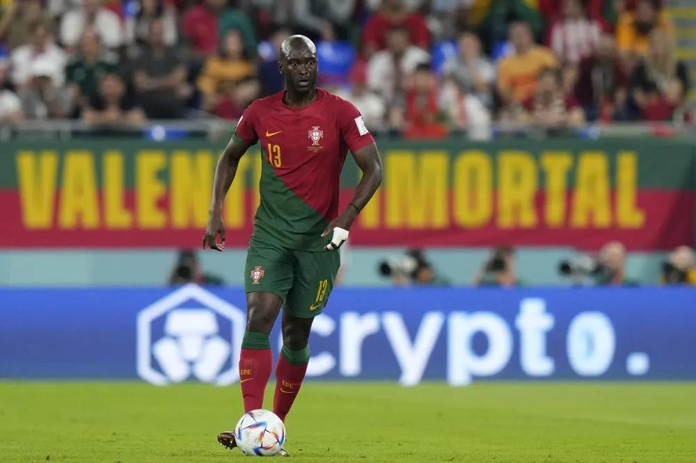 宠物貂公母各有何优劣？性情温顺的它们该如何选？