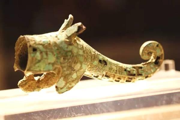 喋喋吸蜜鹦鹉: 色彩艳丽且独具特色的鹦鹉品种