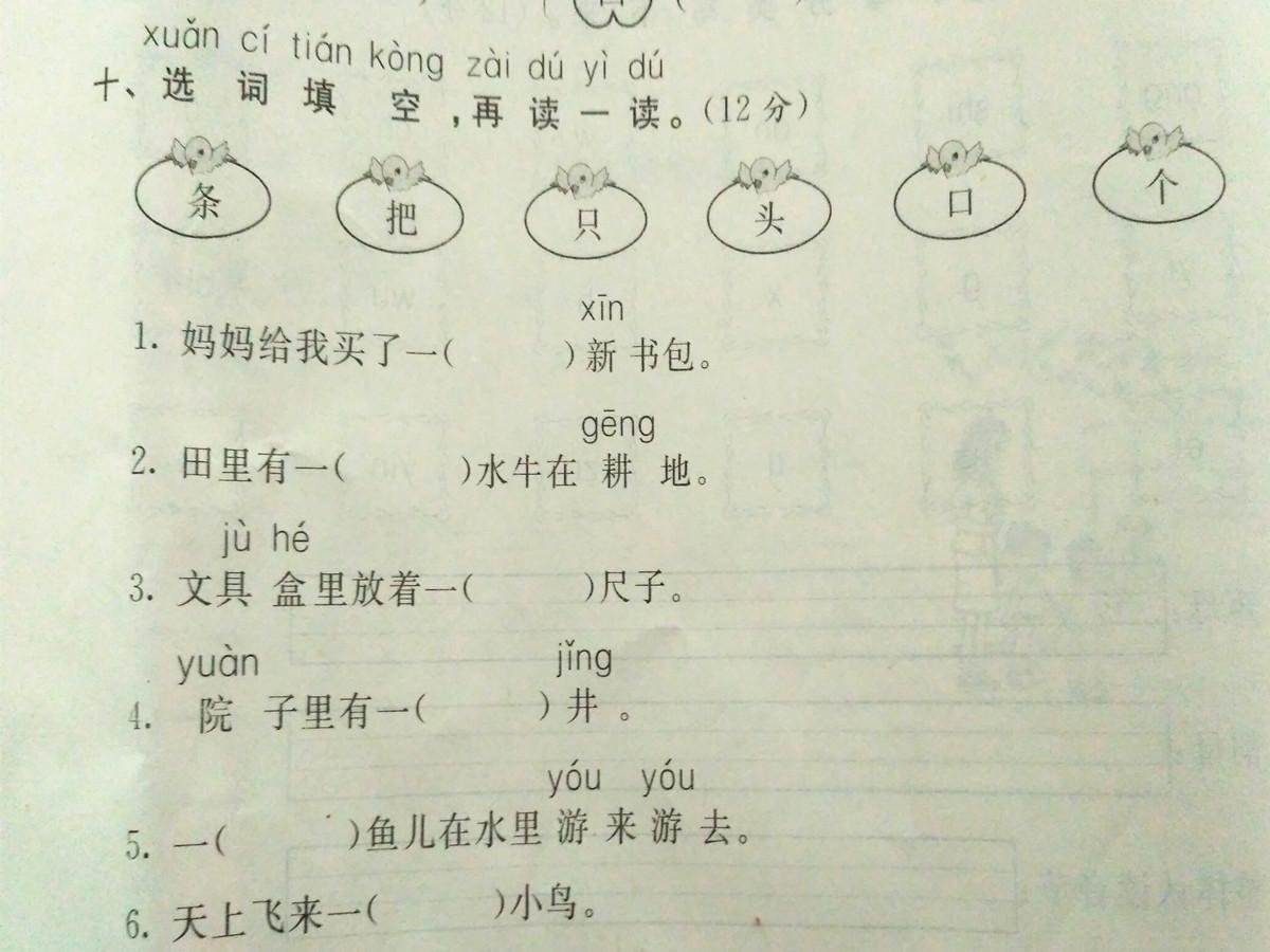 奥丁狗粮真的能让狗狗吃出幸福感吗? 奥丁狗粮真的能让狗狗吃出幸福感吗?