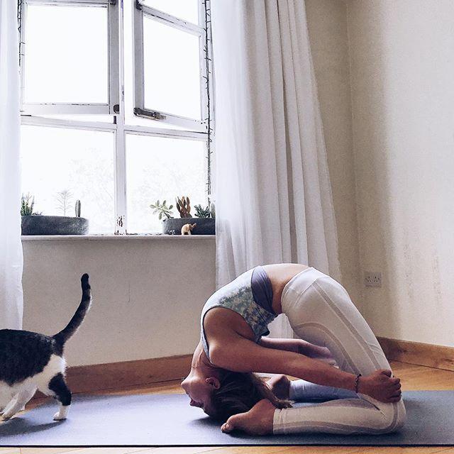 每天15分钟瑜伽能让小肚子消失吗？