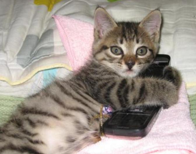 在法国卡斯特尔生活，如何快速找到靠谱的华人圈子？