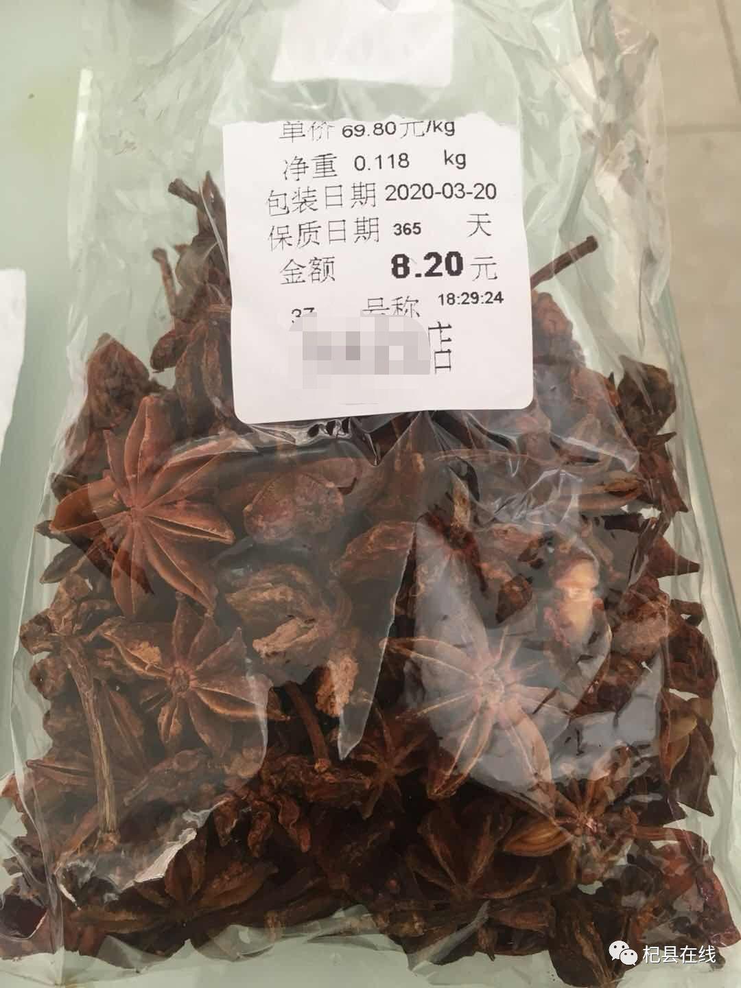 斯帕乐真的适合新手入门吗？