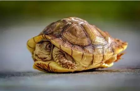 依俊真的能让你从手残党变身节奏大师吗？