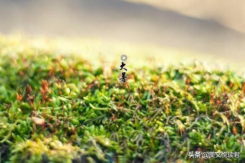 为什么你总在游戏里算不准伤害数值？