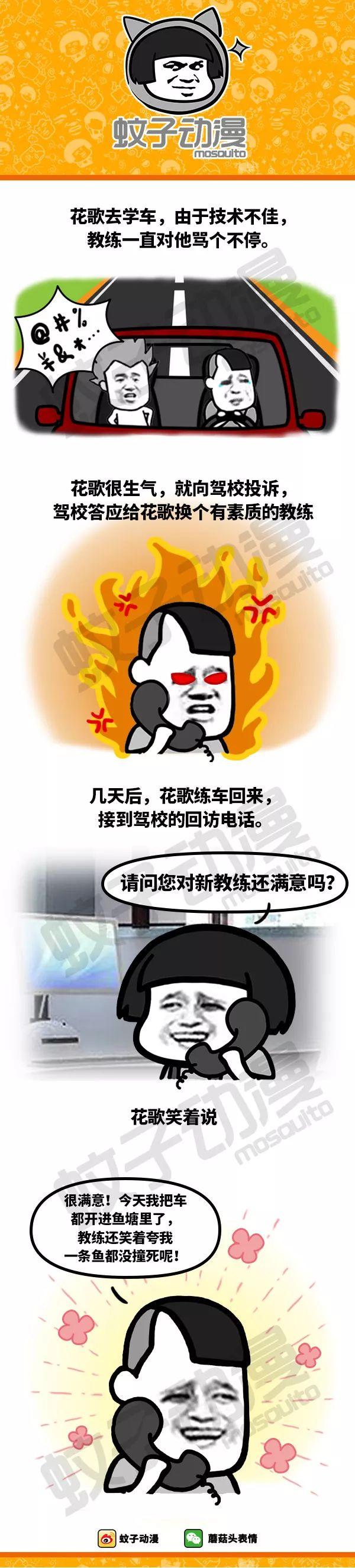 一只狗的大学时光该怎么玩？