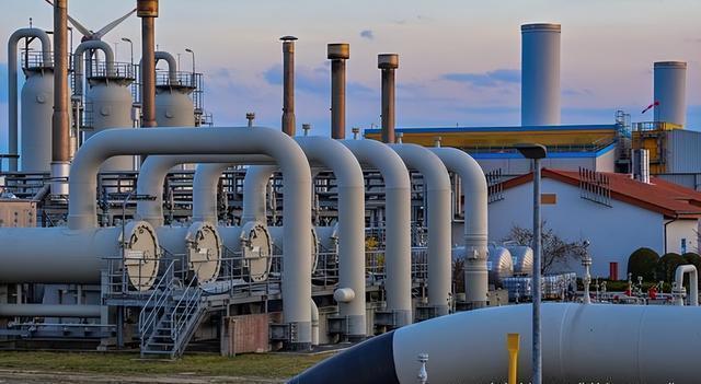 属兔人2020年到底能不能逆风翻盘？