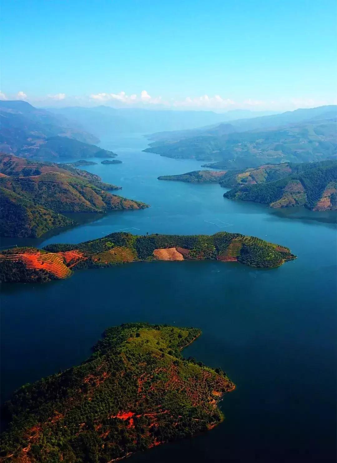 你家鹦鹉鱼为啥越养颜色越淡？