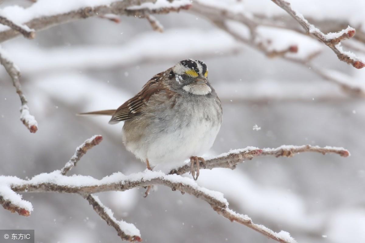 周易网站到底靠不靠谱？