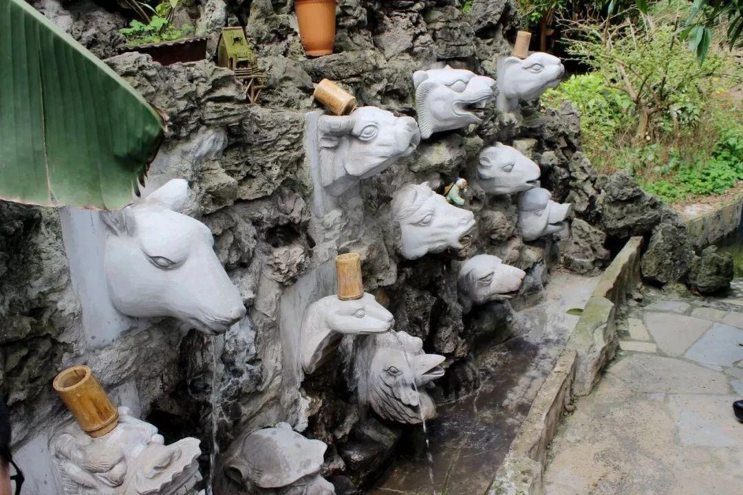 地图鱼水温调不对真的会死给你看? 地图鱼水温调不对真的会死给你看?