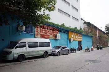 养只宠物貂到底要花你几个月的奶茶钱？