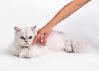 淘宝套餐怎么搭才能省更多？