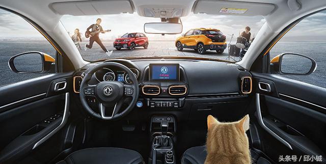 属兔人出生月份真的影响命运吗？