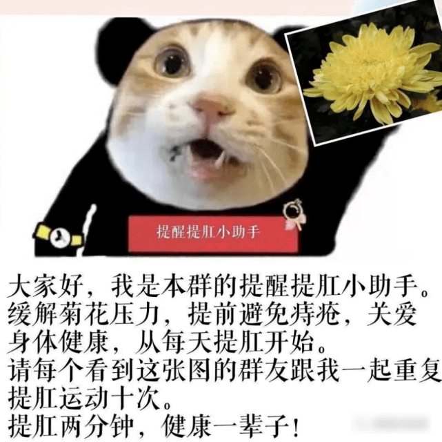 有谁知道“爆菊哥”这个梗是怎么火起来的？