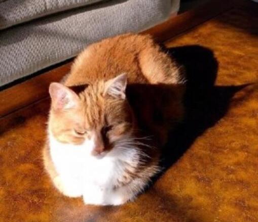 淘宝店铺装修到底要花多少钱？