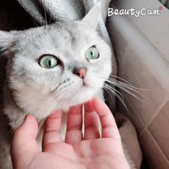 拼多多评价图片查看方法与差评处理技巧全攻略