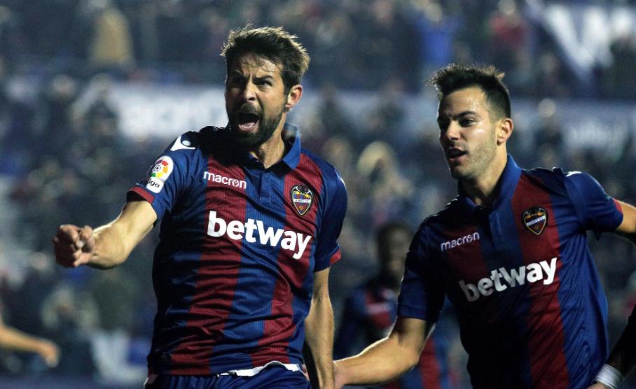 鸟类常用饲料大全：如何科学配置鸟饲料的详细指南