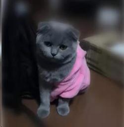 测字真能帮你改运吗？免费易经测字全攻略